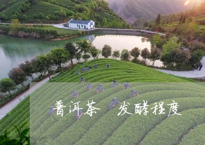 普洱茶 发酵程度/2023041106378